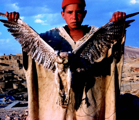 Taleb, le maître d'école