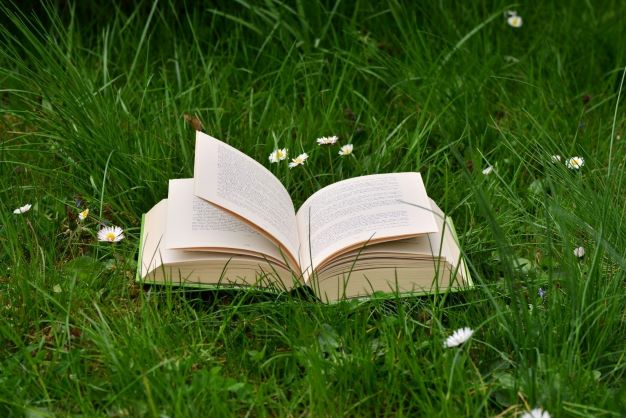 10e Livres en fête
